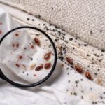 ChatGPT Image 16. jan. 2026, 12.42.50